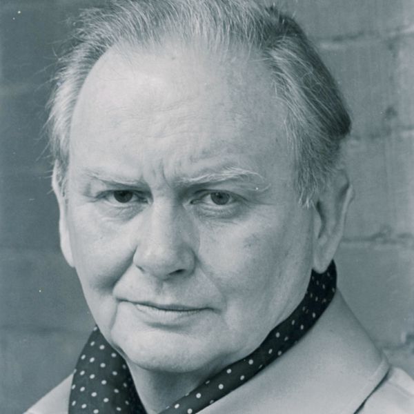 A picture of Meic Stephens